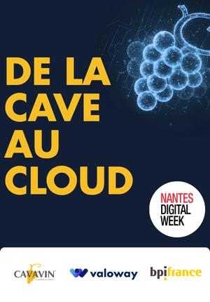 CAVAVIN : construire un socle data pour accompagner la croissance du réseau